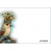 DUTCH LADY CHRISTMAS  GREETING CARD Holly Bird